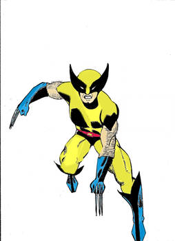 Wolverine color