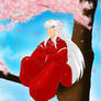 InuYasha in Sakura Tree