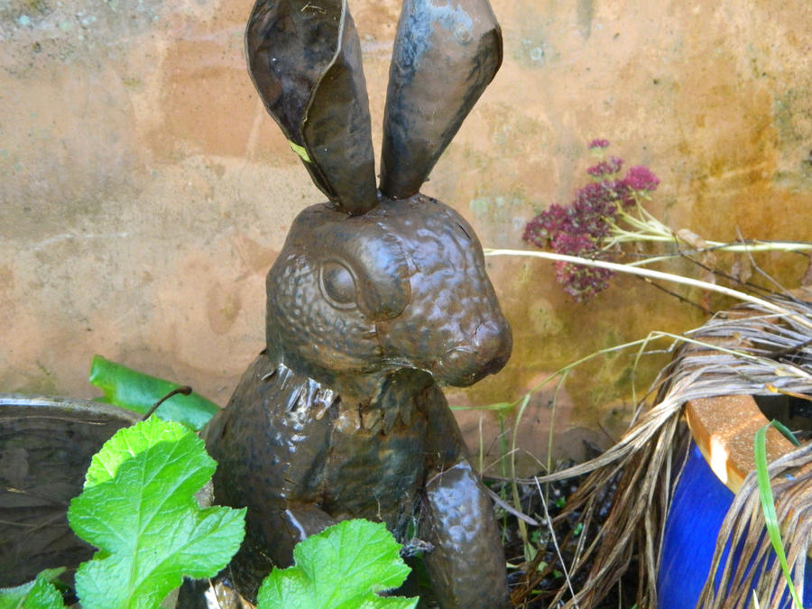 Rabbit in wonderland by DisenchantedLIfe on DeviantArt