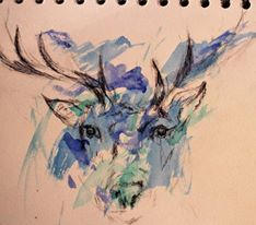 Deer Watercolour