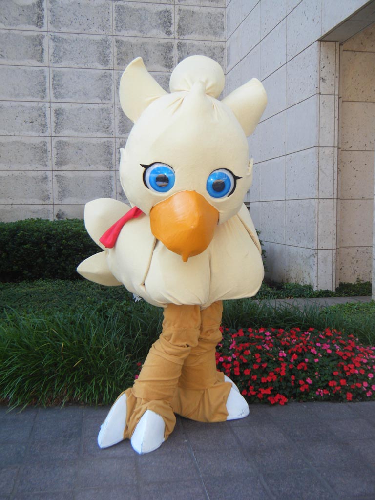 Chocobo wark