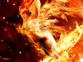 Phoenix rising