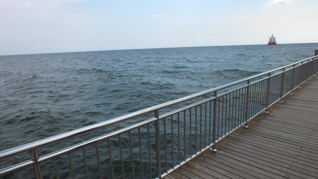 Beach Fence