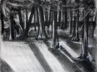 Charcoal Forest