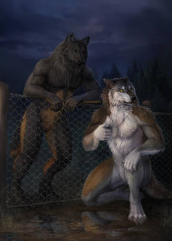 Werewolf Tale II - Cover