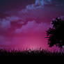 Purple Night Sky