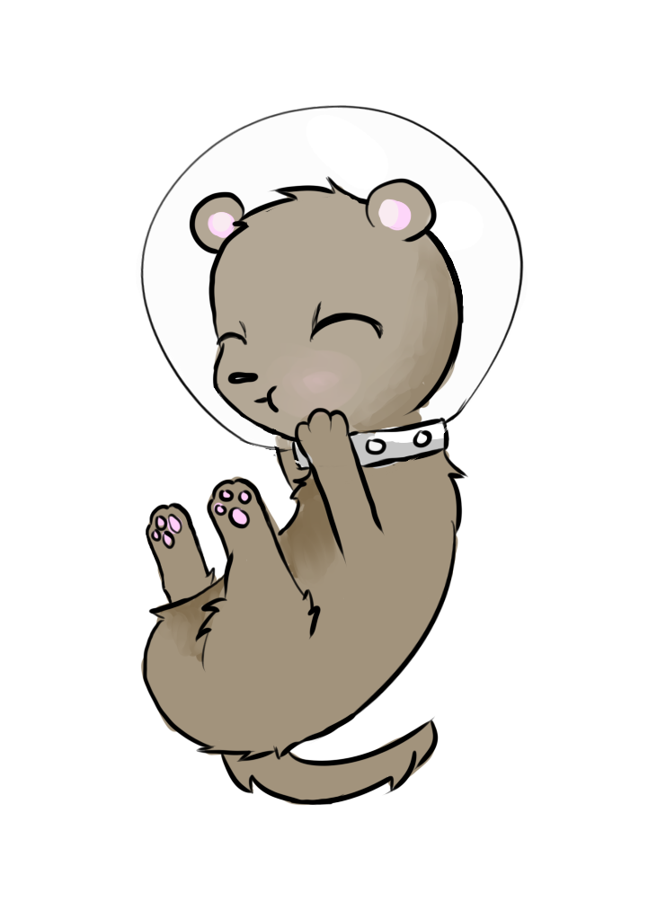 Spaceotter [For Erzsabet]