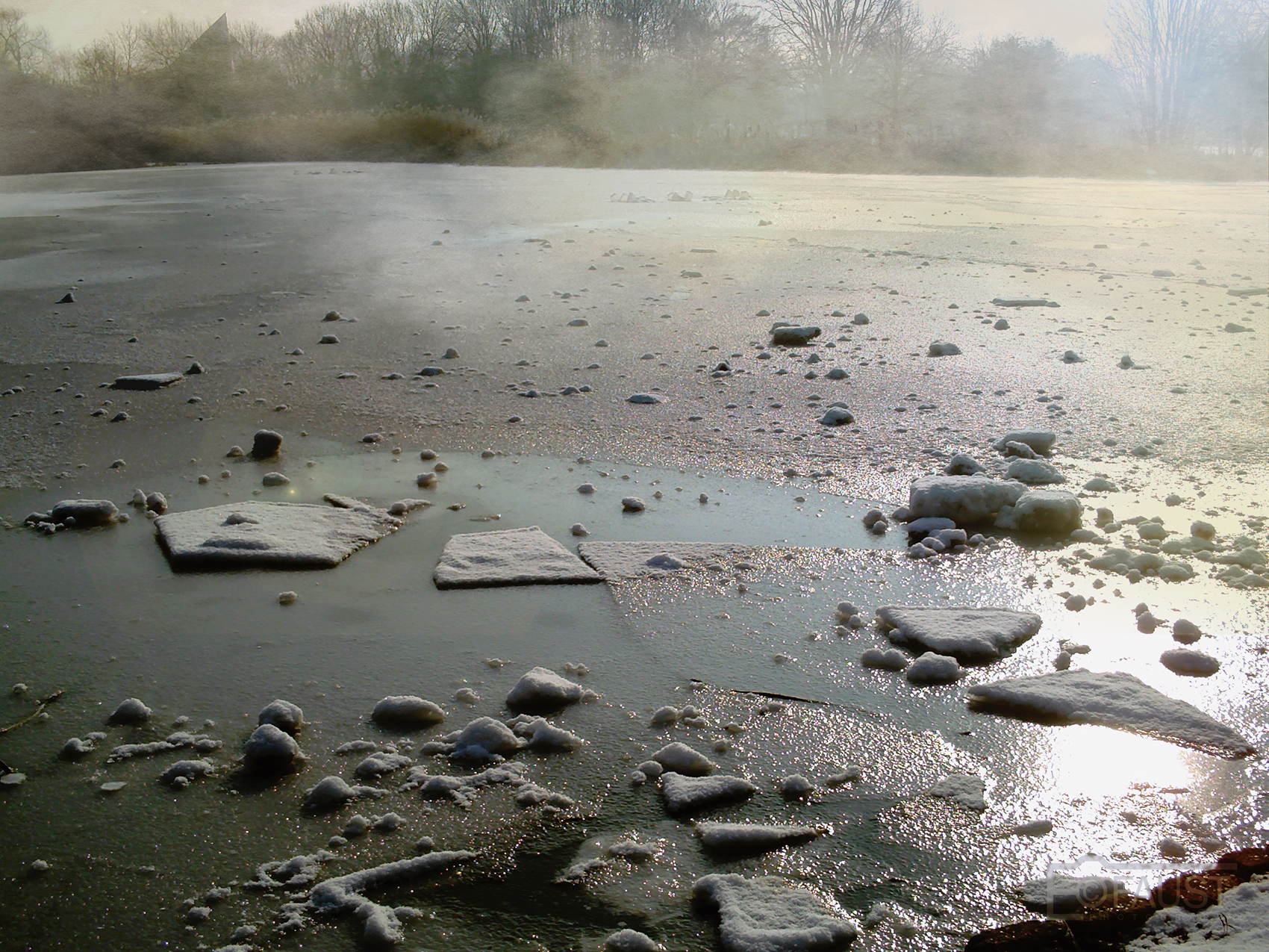 Frozen Lake I