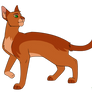 Firestar design (2020)