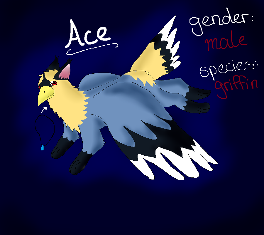 reference sheet : Ace