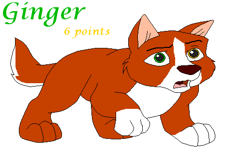 Adopt Ginger :CLOSE: