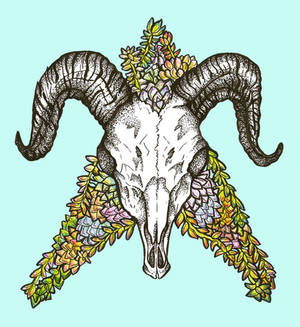 Ram Skull