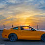 Mustang in the sunset