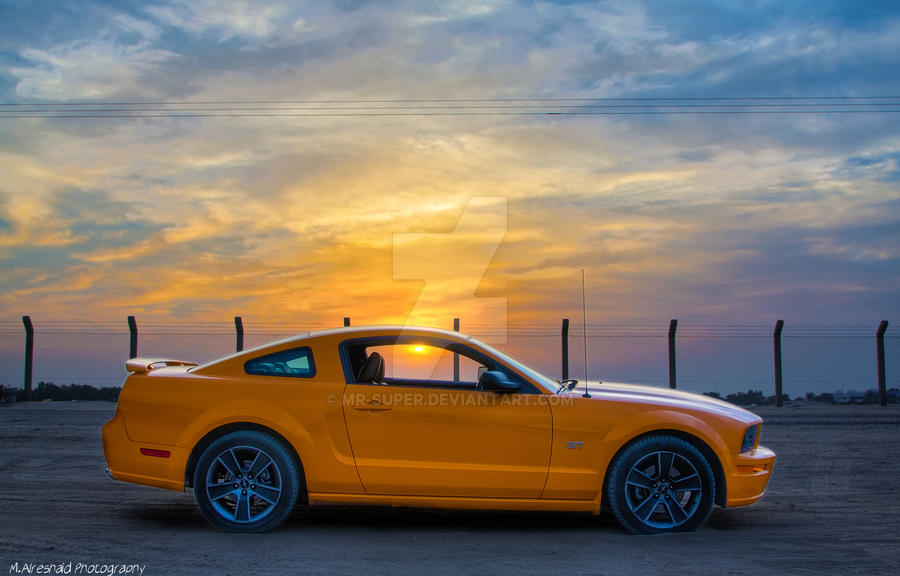 Mustang in the sunset