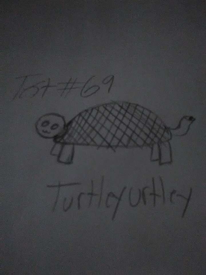 TurtleyUrtley