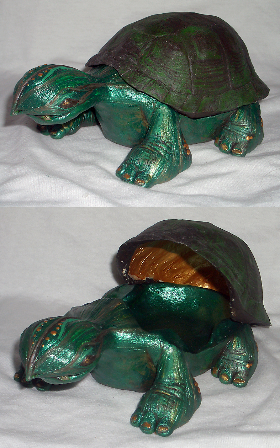 Sheldon Turtle 1