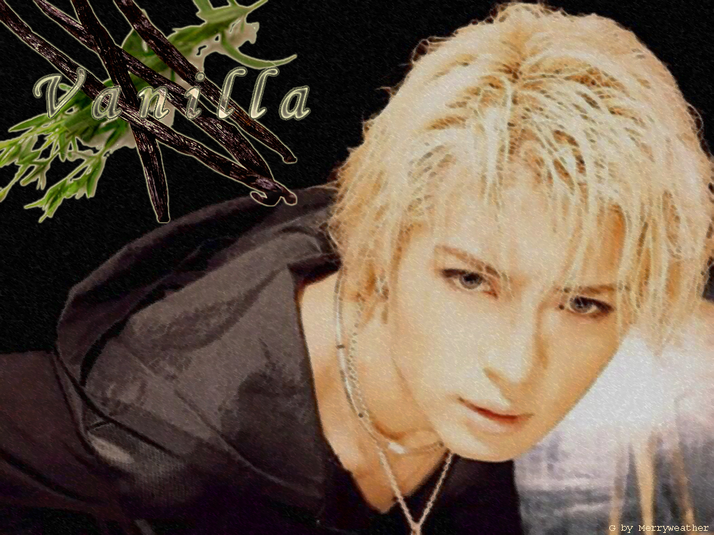 Vanilla Gackt By Misshargreaves On Deviantart