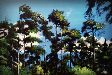 Pine forest