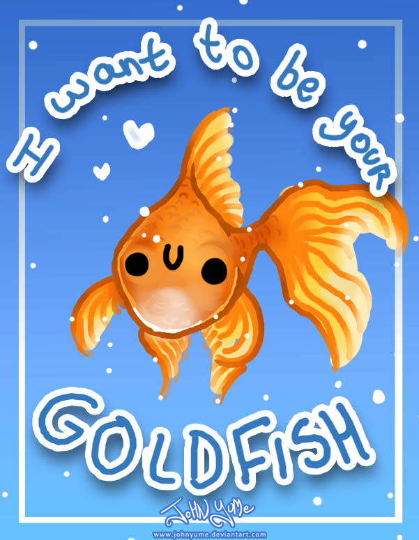 Gold Fish Card Vday