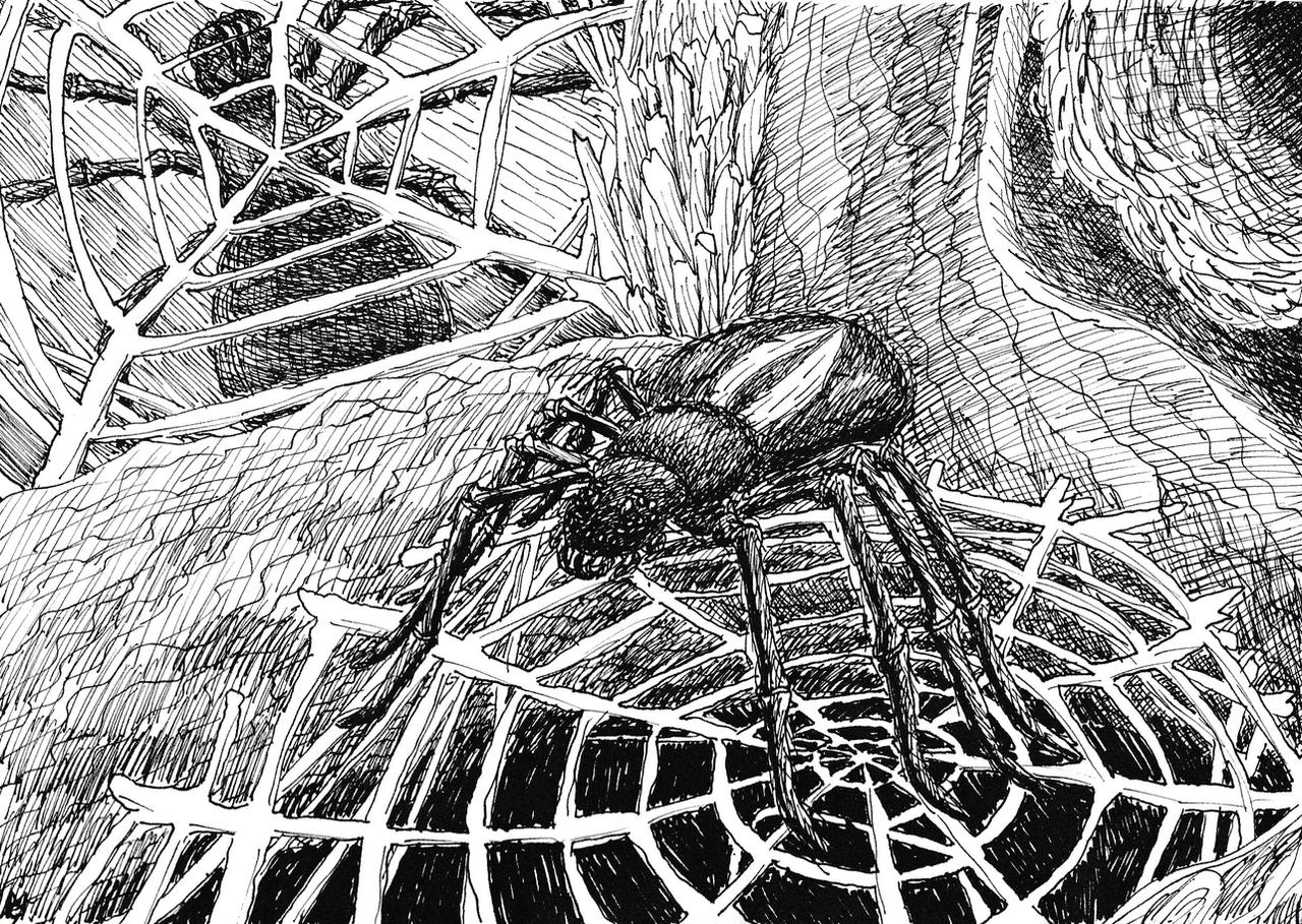 Deviantart Spider Inktober2023 2 Spiders by mcervenymalovani on DeviantArt