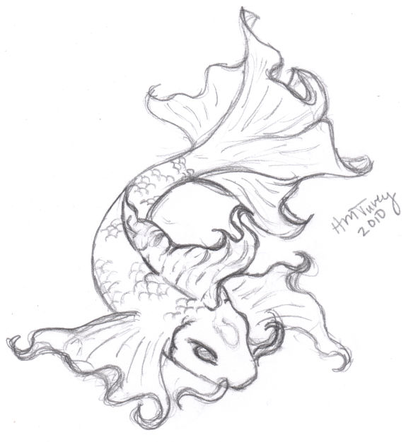 Koi Sketch Tattoo By Raynekitty On DeviantArt koi-sketch-tattoo-by-raynekitty-on-deviantart