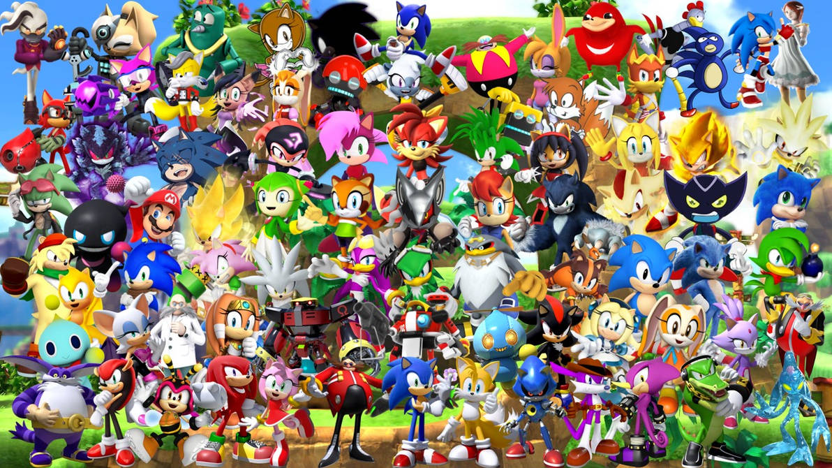 10. Sonic the Hedgehog: Pronouns and Diversity in Gaming - wide 8