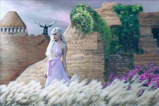 Daenerys Resolve