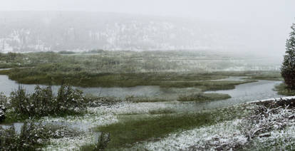 Misty Yellowstone Morning