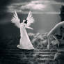 Get Your Wings