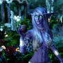 Night Elf Yazmina