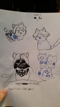 Star Wars Cats (rough yet stupid concept thingy)