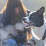 Border Collie Breath