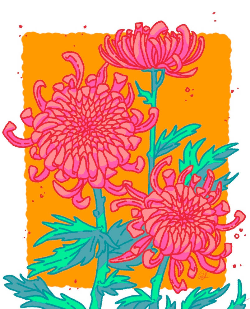 Chrysanthemums By ChaoticRaspberry On DeviantArt chrysanthemums-by-chaoticraspberry-on-deviantart