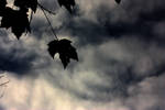 Billows by Another-Perspective