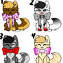 free cat adopts:3(if you guess the question right)