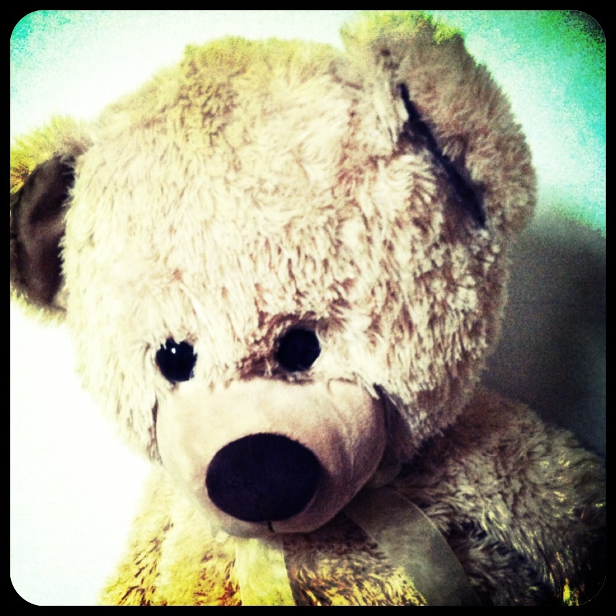 Teddy bear