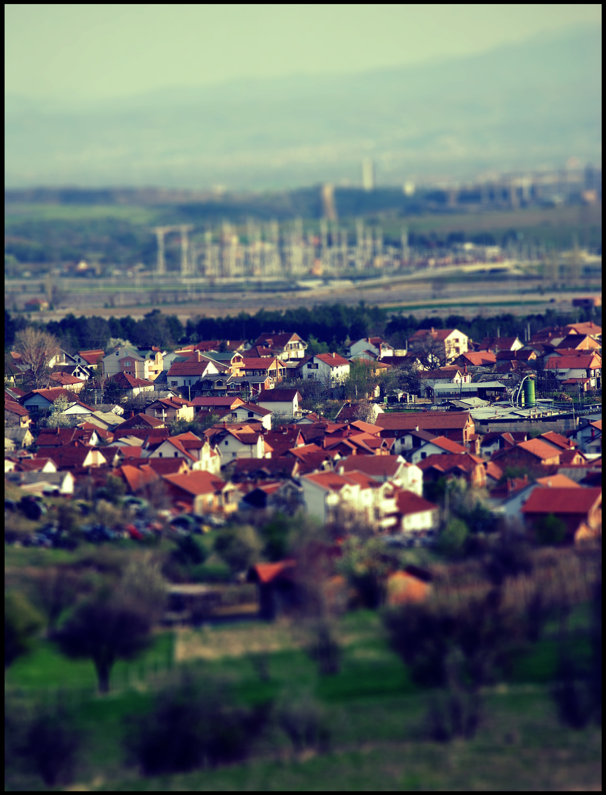 Toyses