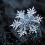 Snowflake