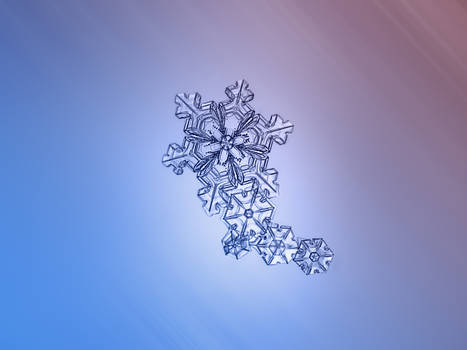 Chain of snowflakes