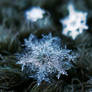 Snowfall