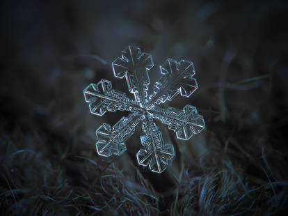 Snow flakes in the Winter by Coreowareo95 on DeviantArt