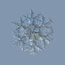 Vectorized snowflake: gardener's dream