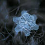 December 18 2015 - Snowflake 2