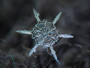 Real snowflake macro photo - The shard