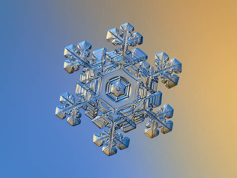 Real snowflake