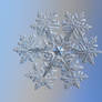 Snowflake 2021-02-11 - 1