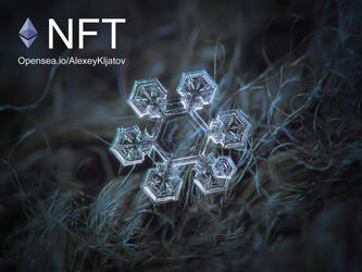 Icy Jewel NFT