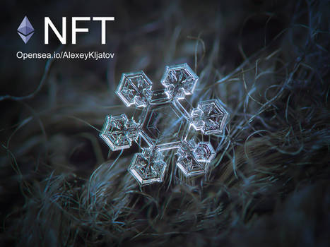 Icy Jewel NFT