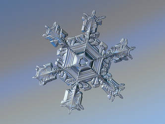 Real snowflake macro photo