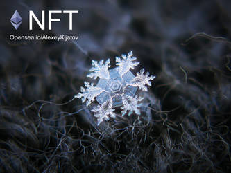 Snowflake NFT: 2011-02-10_4312-15 Darkside